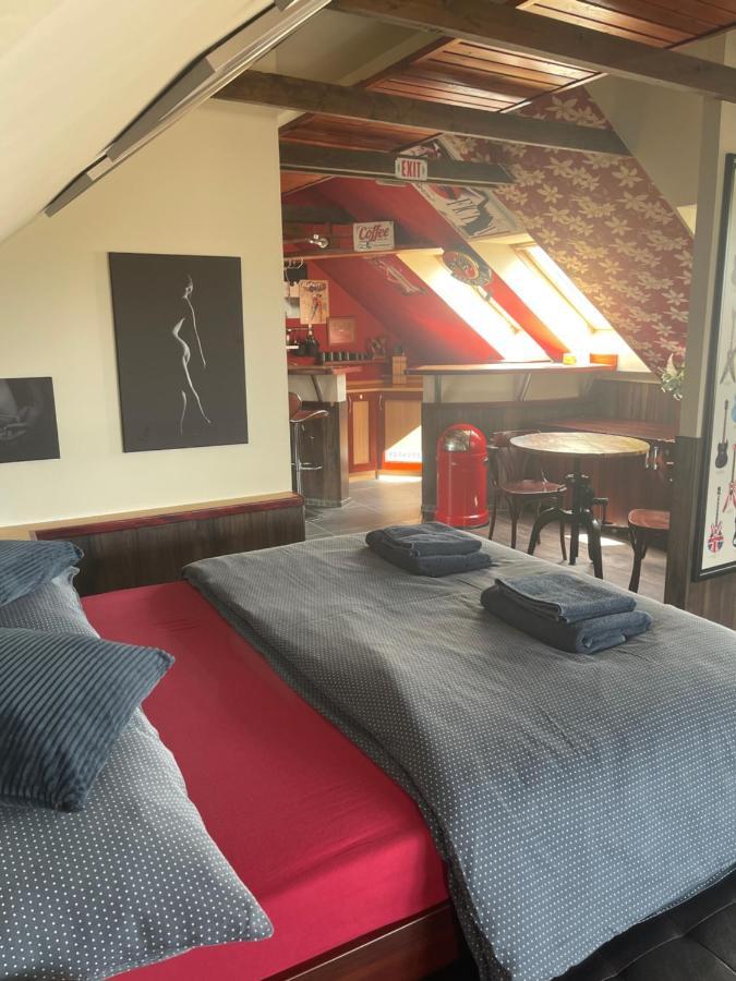 Stylove Apartmanky Frýdek-Místek Extérieur photo
